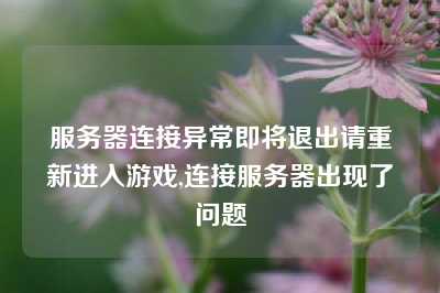 服务器连接异常即将退出请重新进入游戏,连接服务器出现了问题