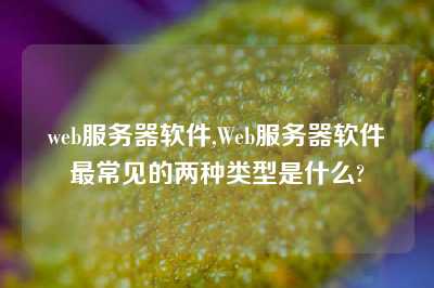 web服务器软件,Web服务器软件最常见的两种类型是什么?