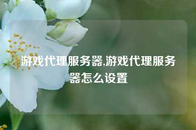 游戏代理服务器,游戏代理服务器怎么设置