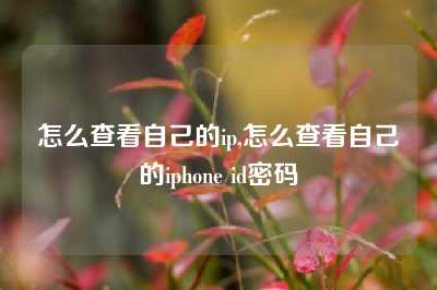 怎么查看自己的ip,怎么查看自己的iphone id密码