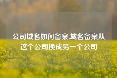 公司域名如何备案,域名备案从这个公司换成另一个公司