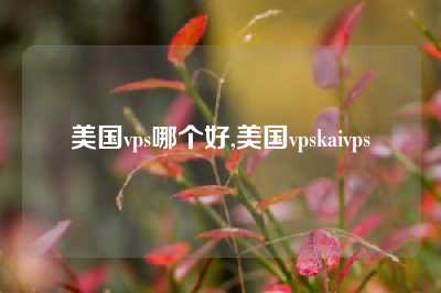 美国vps哪个好,美国vpskaivps