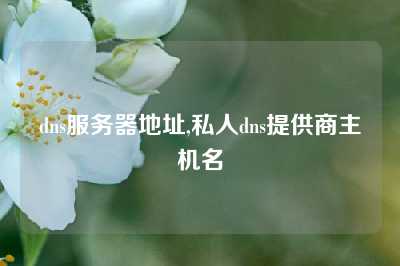 dns服务器地址,私人dns提供商主机名