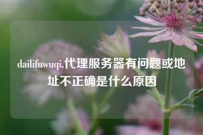 dailifuwuqi,代理服务器有问题或地址不正确是什么原因