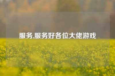 服务,服务好各位大佬游戏