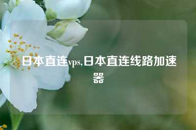 日本直连vps,日本直连线路加速器