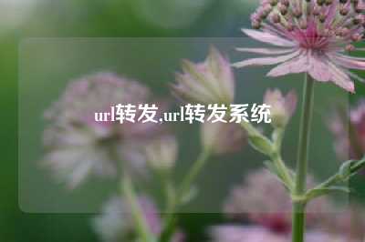 url转发,url转发系统
