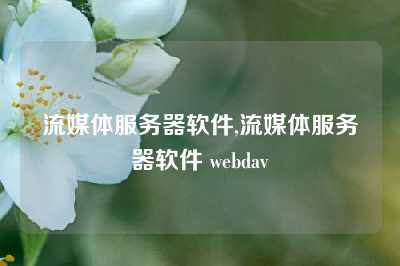 流媒体服务器软件,流媒体服务器软件 webdav