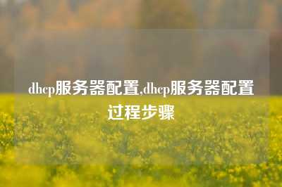dhcp服务器配置,dhcp服务器配置过程步骤