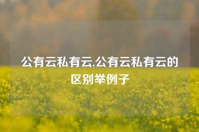 公有云私有云,公有云私有云的区别举例子