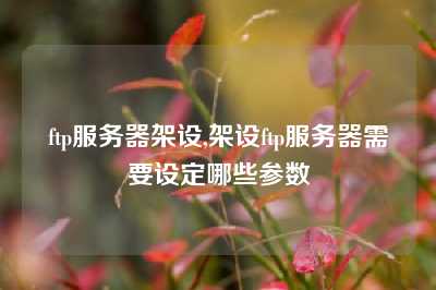 ftp服务器架设,架设ftp服务器需要设定哪些参数