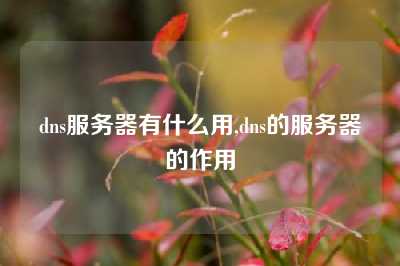 dns服务器有什么用,dns的服务器的作用