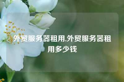 外贸服务器租用,外贸服务器租用多少钱