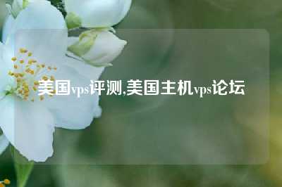 美国vps评测,美国主机vps论坛