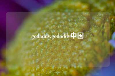 godaddy,godaddy中国