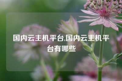 国内云主机平台,国内云主机平台有哪些