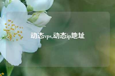 动态vps,动态ip地址