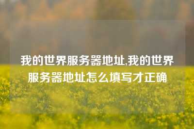 我的世界服务器地址,我的世界服务器地址怎么填写才正确