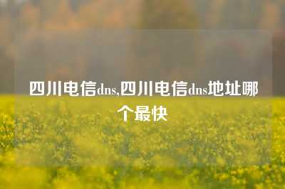 四川电信dns,四川电信dns地址哪个最快