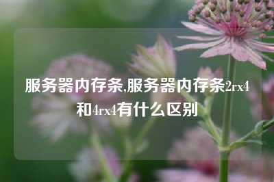 服务器内存条,服务器内存条2rx4和4rx4有什么区别