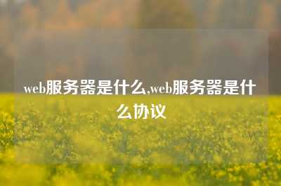 web服务器是什么,web服务器是什么协议