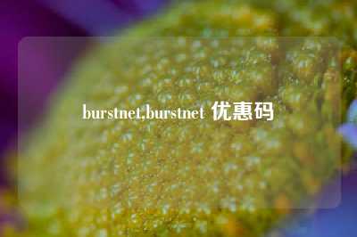 burstnet,burstnet 优惠码