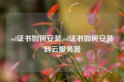 ssl证书如何安装,ssl证书如何安装到云服务器