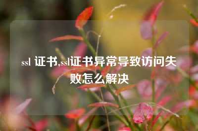 ssl 证书,ssl证书异常导致访问失败怎么解决