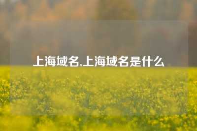 上海域名,上海域名是什么