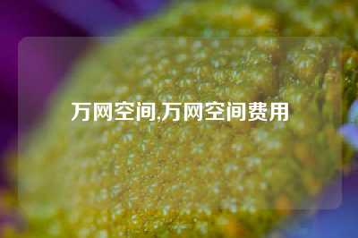 万网空间,万网空间费用