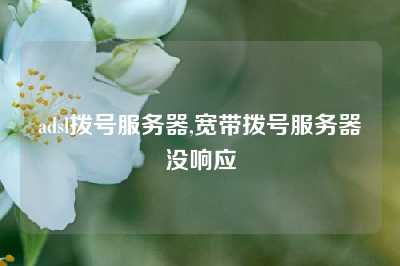 adsl拨号服务器,宽带拨号服务器没响应