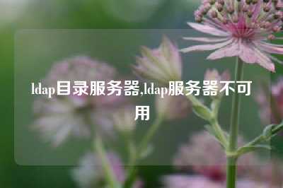 ldap目录服务器,ldap服务器不可用
