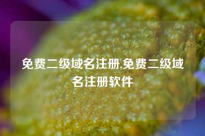 免费二级域名注册,免费二级域名注册软件