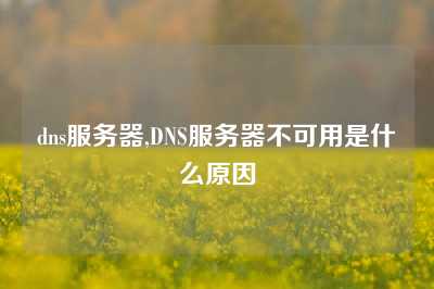 dns服务器,DNS服务器不可用是什么原因