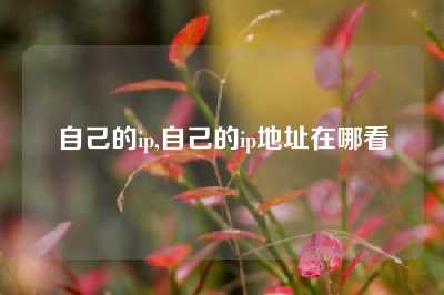 自己的ip,自己的ip地址在哪看