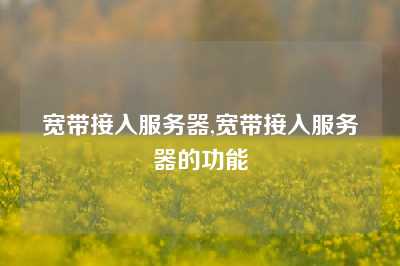 宽带接入服务器,宽带接入服务器的功能