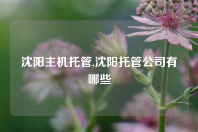 沈阳主机托管,沈阳托管公司有哪些