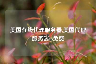 美国在线代理服务器,美国代理服务器ip免费