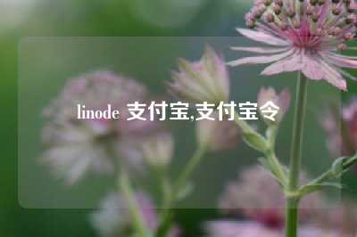linode 支付宝,支付宝令