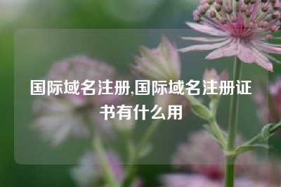 国际域名注册,国际域名注册证书有什么用