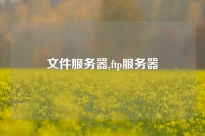 文件服务器,ftp服务器