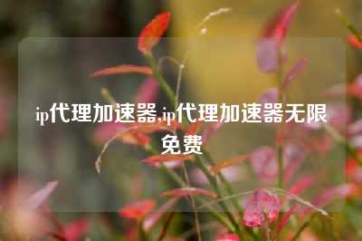 ip代理加速器,ip代理加速器无限免费