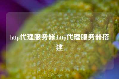 http代理服务器,http代理服务器搭建