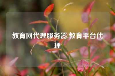 教育网代理服务器,教育平台代理