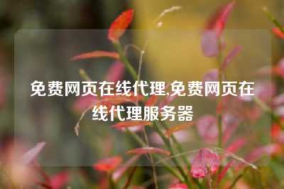 免费网页在线代理,免费网页在线代理服务器