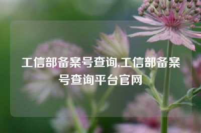 工信部备案号查询,工信部备案号查询平台官网
