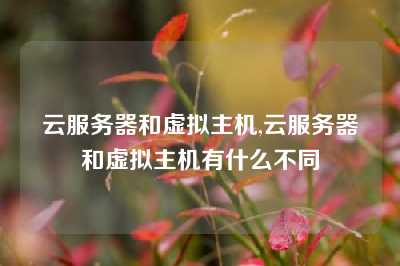 云服务器和虚拟主机,云服务器和虚拟主机有什么不同