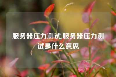 服务器压力测试,服务器压力测试是什么意思