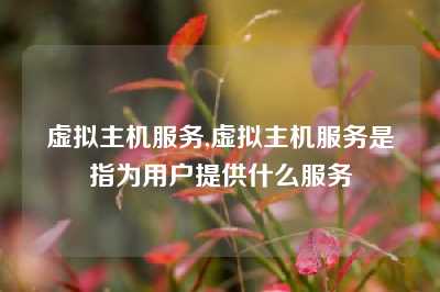 虚拟主机服务,虚拟主机服务是指为用户提供什么服务