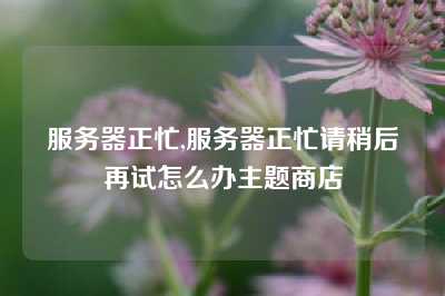 服务器正忙,服务器正忙请稍后再试怎么办主题商店